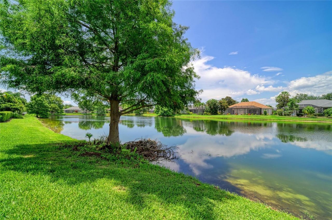 13329 Swallowtail Drive , Lakewood Ranch, FL 34202 Photo