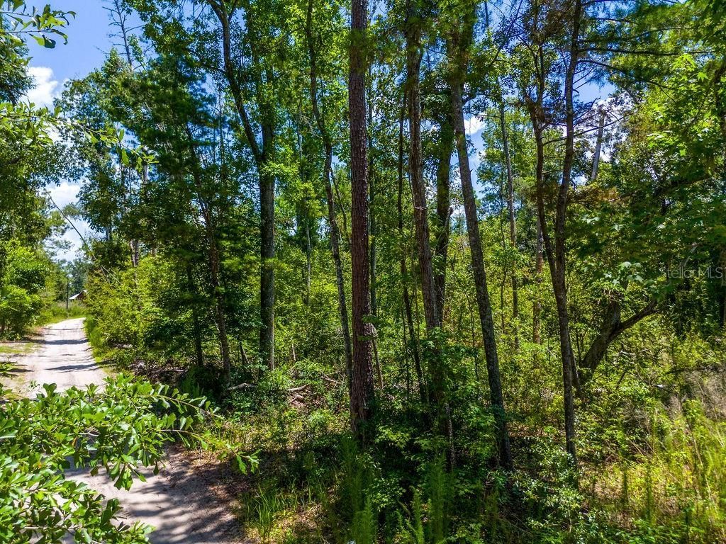 7679 NW 28th Street , Jennings, FL 32053 Photo