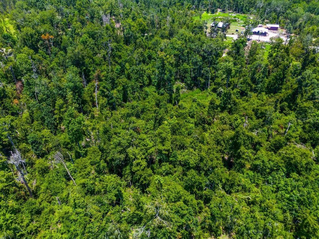 7679 NW 28th Street , Jennings, FL 32053 Photo