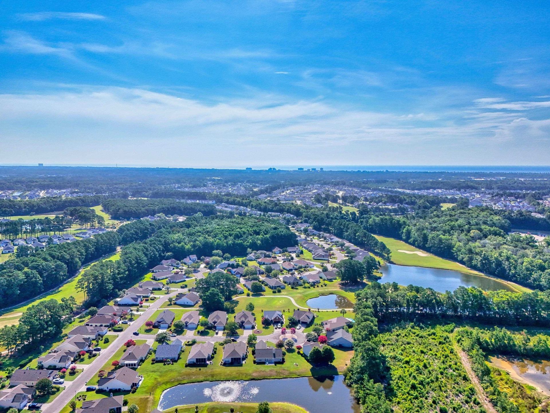 1016 Castle Rock Ct. Photo 3