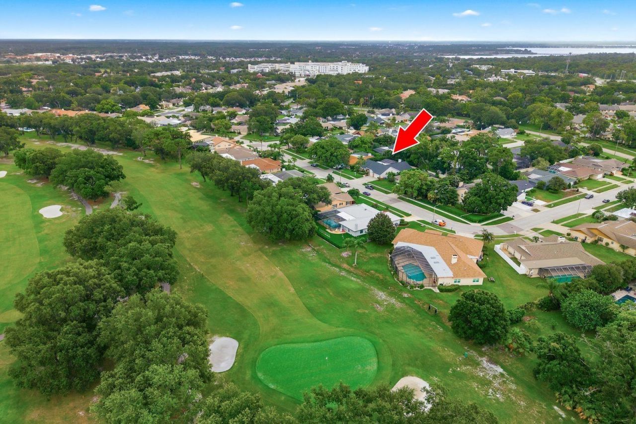 3175 Sandy Ridge Drive , Clearwater, FL 33761 Photo
