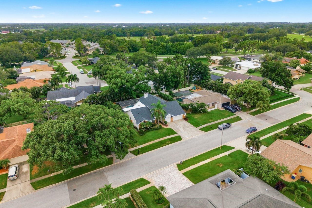 3175 Sandy Ridge Drive , Clearwater, FL 33761 Photo