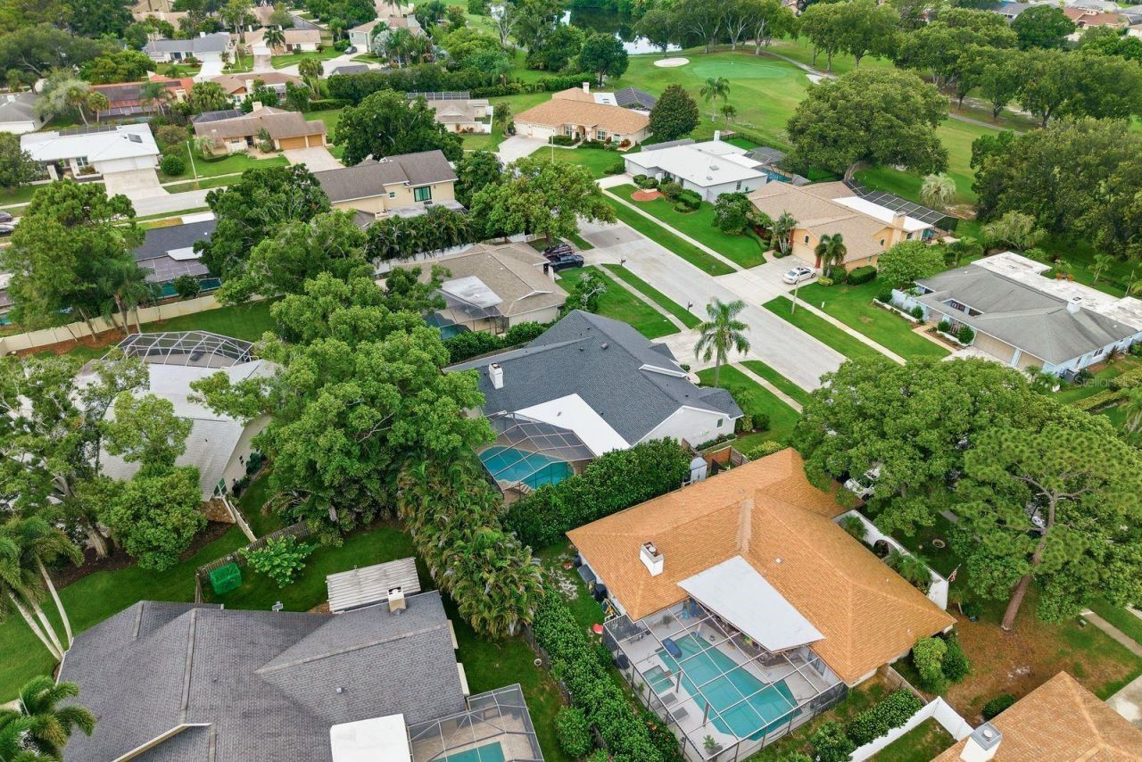 3175 Sandy Ridge Drive , Clearwater, FL 33761 Photo