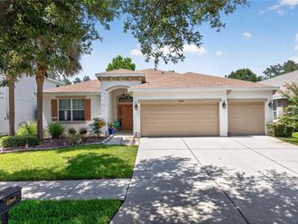 15601 STARLING WATER DRIVE Lithia, FL 33547