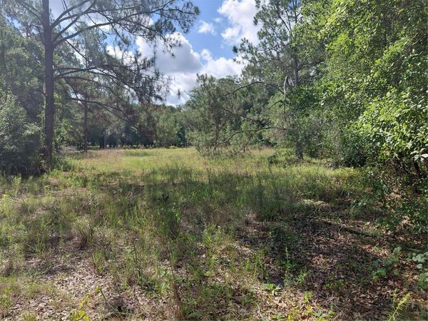 PINON DRIVE , WEBSTER, FL 33597