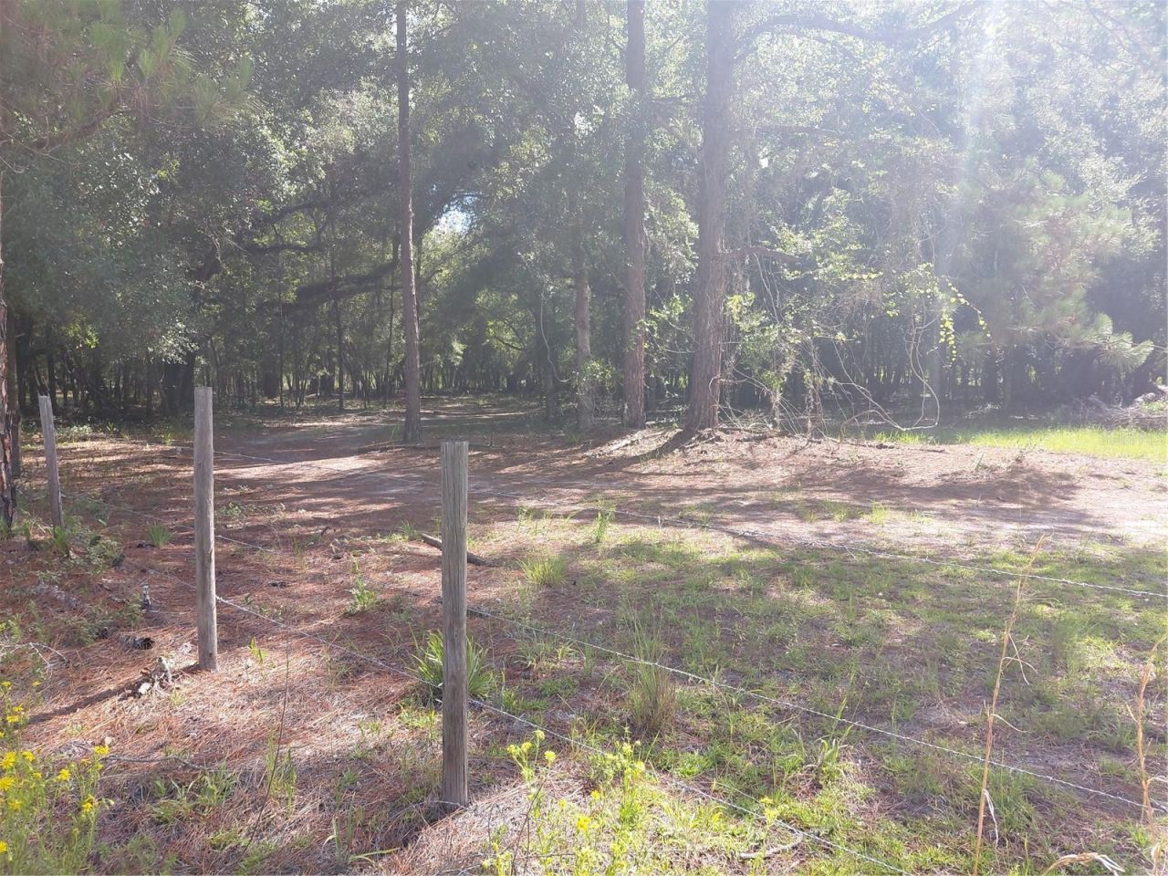 Pinon Drive , Webster, FL 33597 Photo
