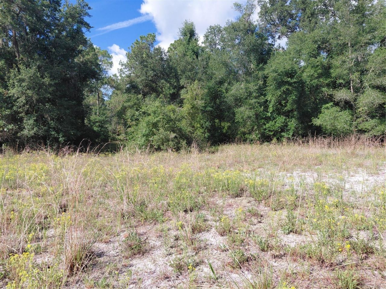 Pinon Drive , Webster, FL 33597 Photo