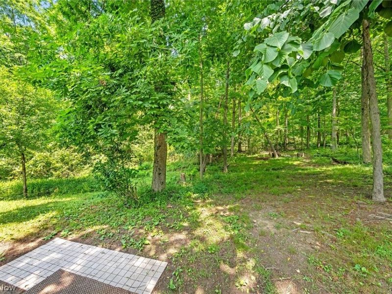 13099 Dorothy Drive, Chesterland, OH 44026 Photo 25