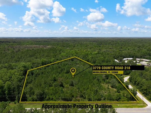 3779 COUNTY ROAD 218 , MIDDLEBURG, FL 32068