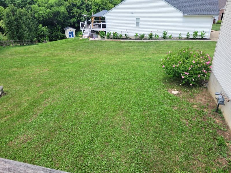 1105 Stonewallridge Drive, Independence, KY 41051 Photo 22