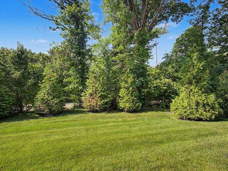 5561 Cove Haven Street, Westerville, OH 43081 Photo 37