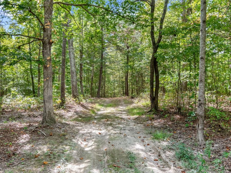 Property Image 18