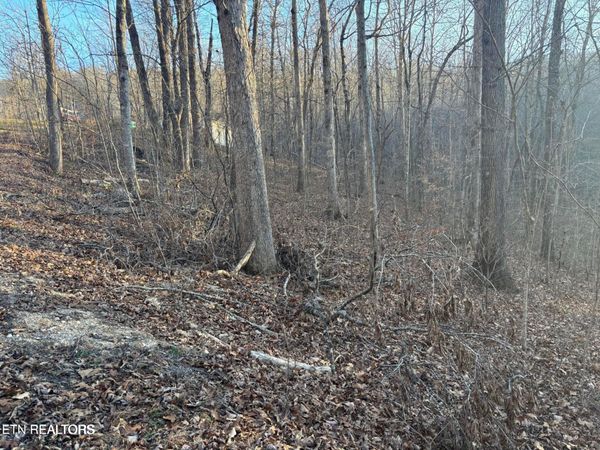 Lake Drive Lane, LaFollette, TN 37766