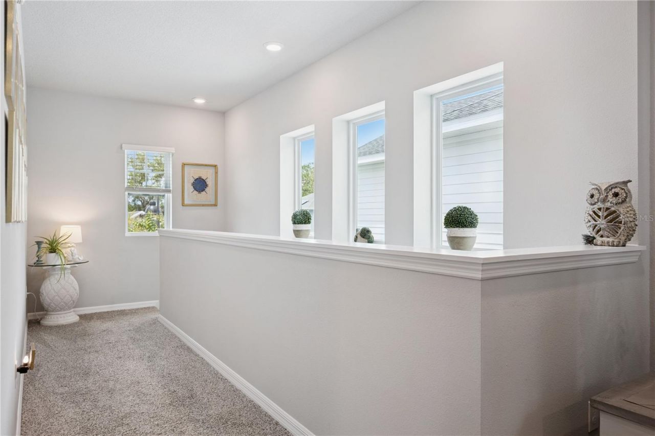 4222 Hibiscus Bloom Drive , Orlando, FL 32822 Photo