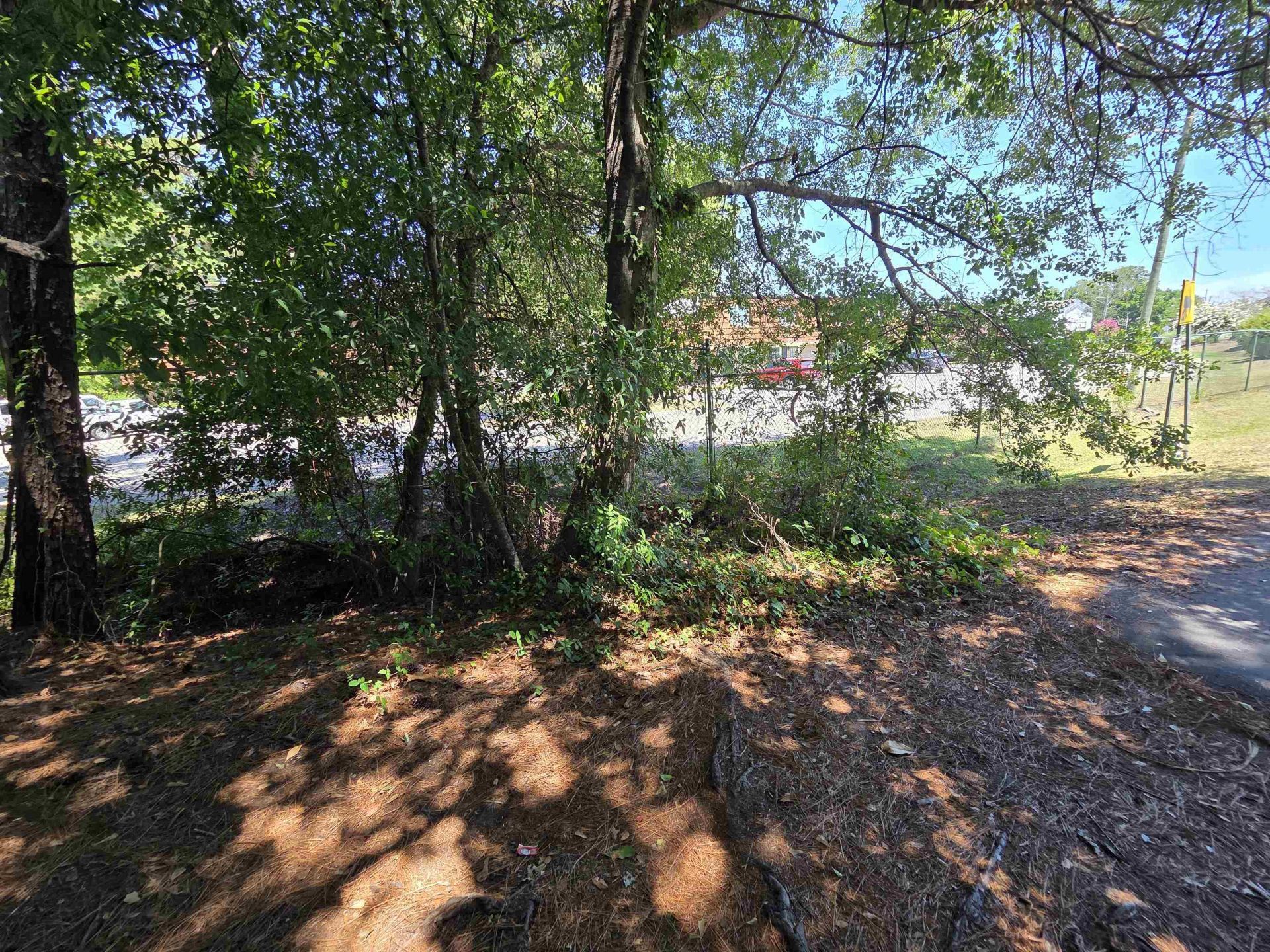 1025 Carolina Rd.  Photo 32
