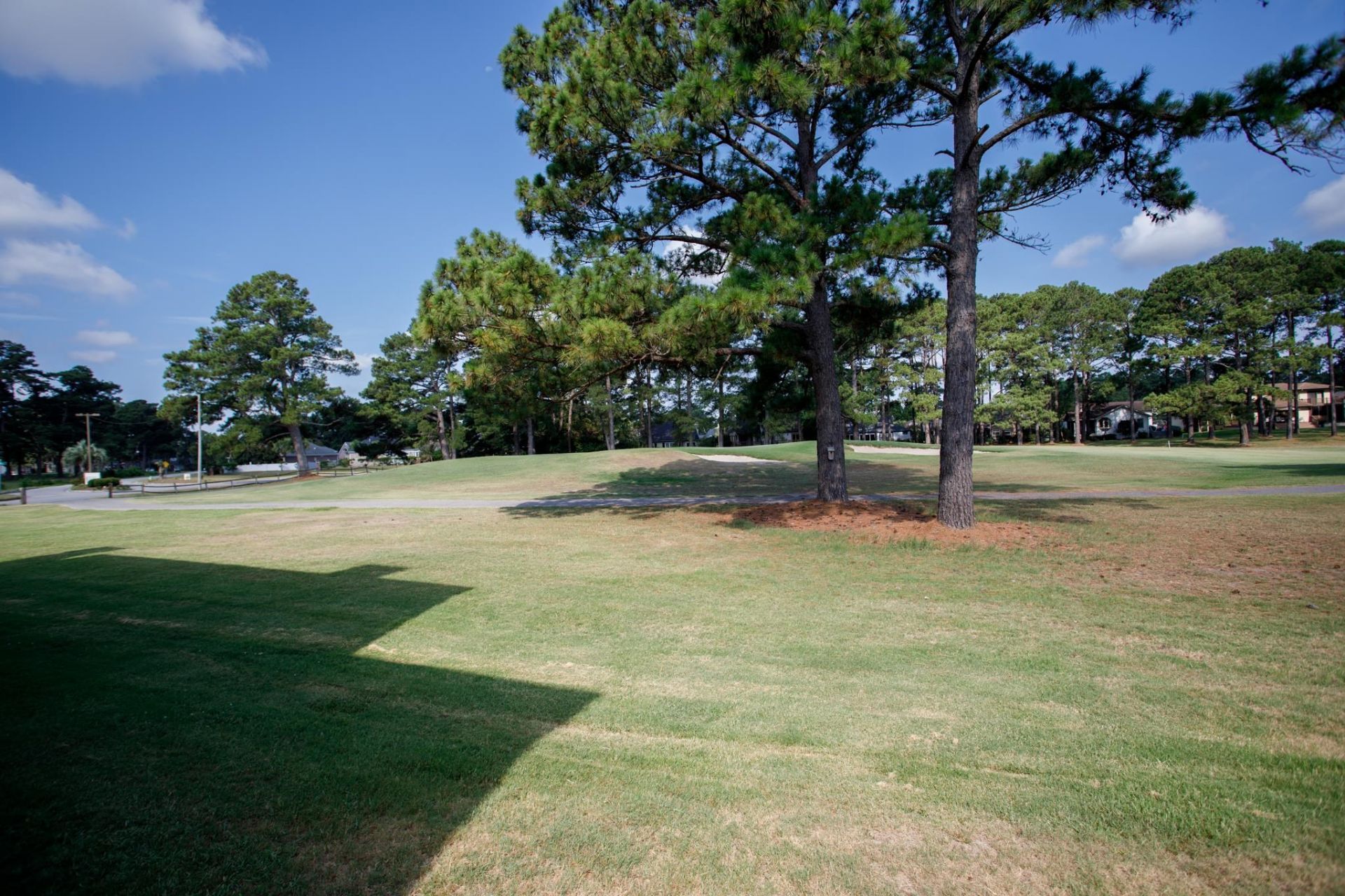 3805 Myrtle Pointe Dr.  Photo 42