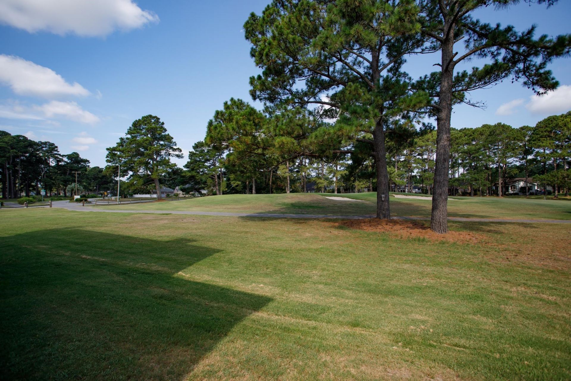 3805 Myrtle Pointe Dr.  Photo 43