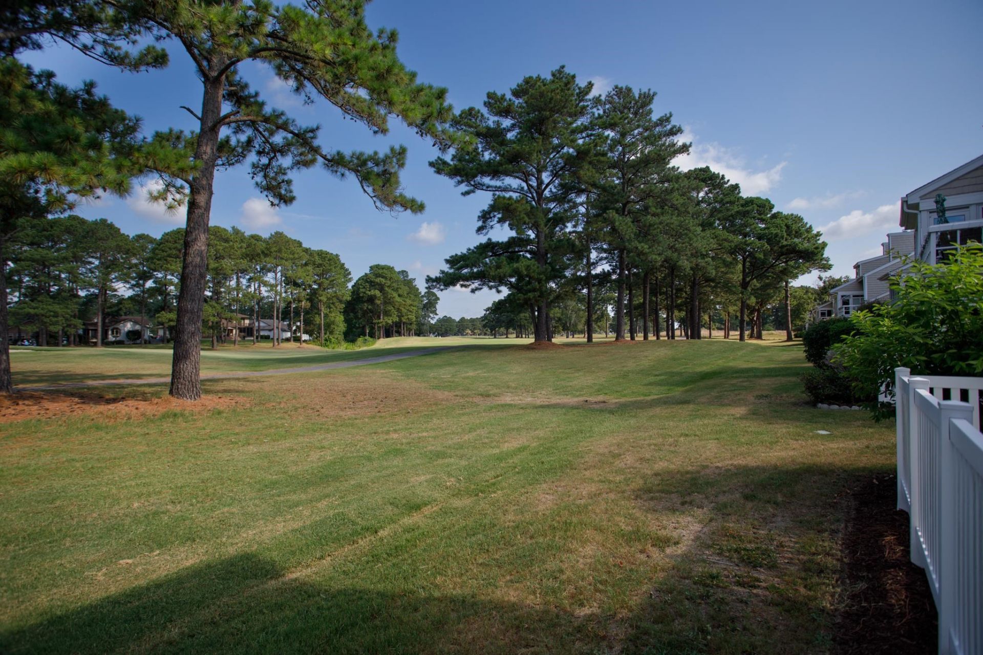 3805 Myrtle Pointe Dr.  Photo 44