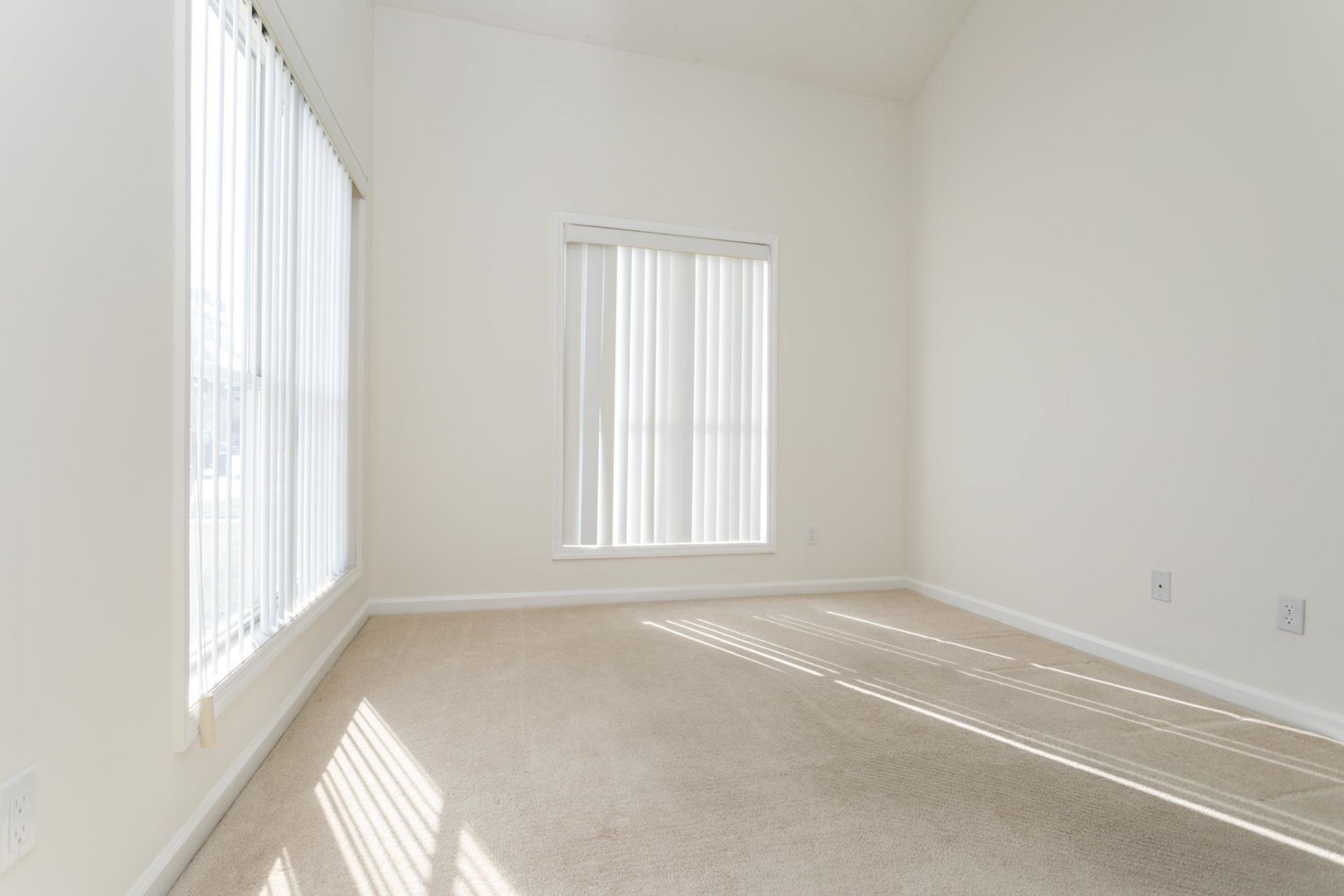 3805 Myrtle Pointe Dr.  Photo 7