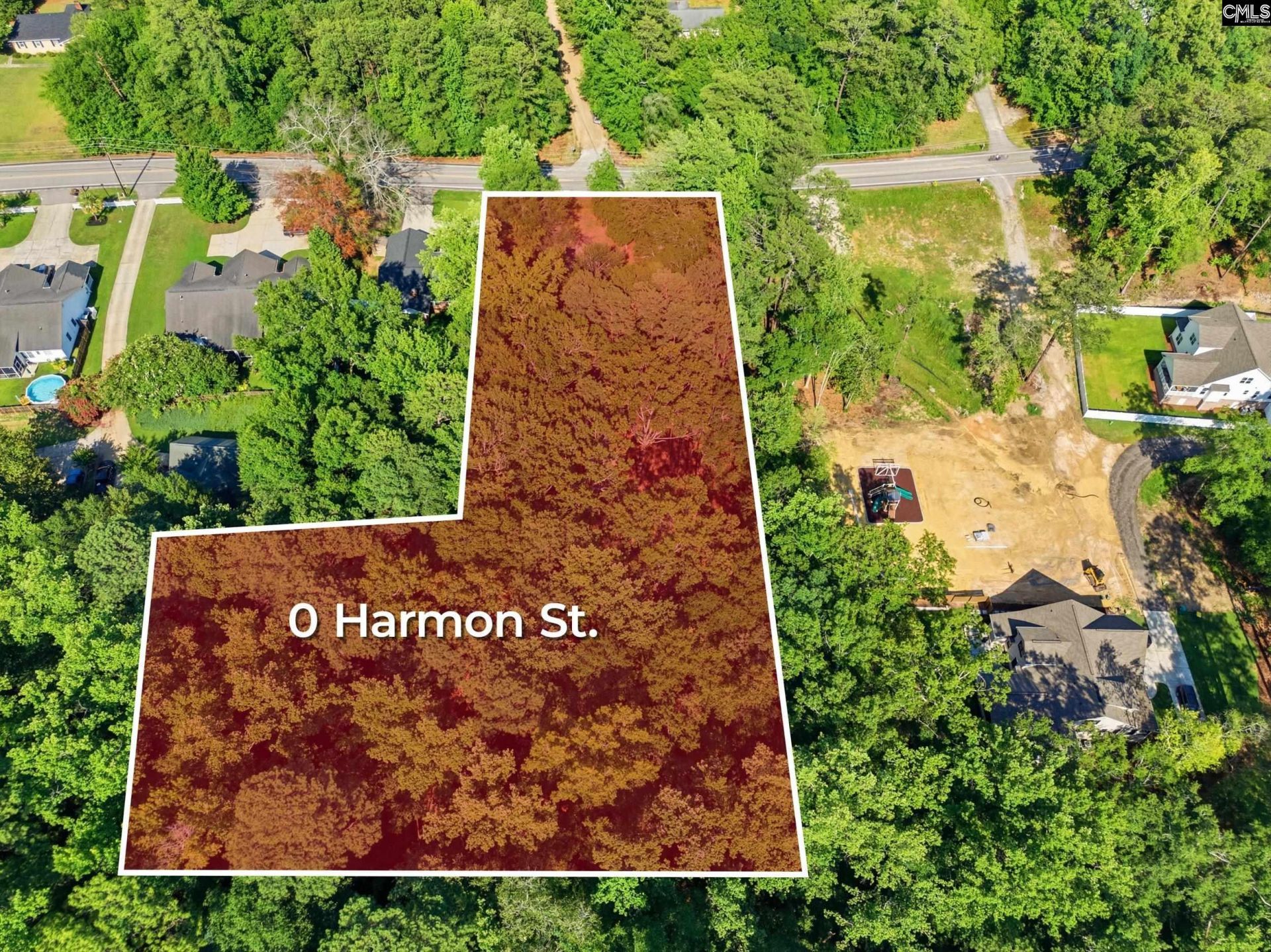 0 Harmon Street  Photo 7