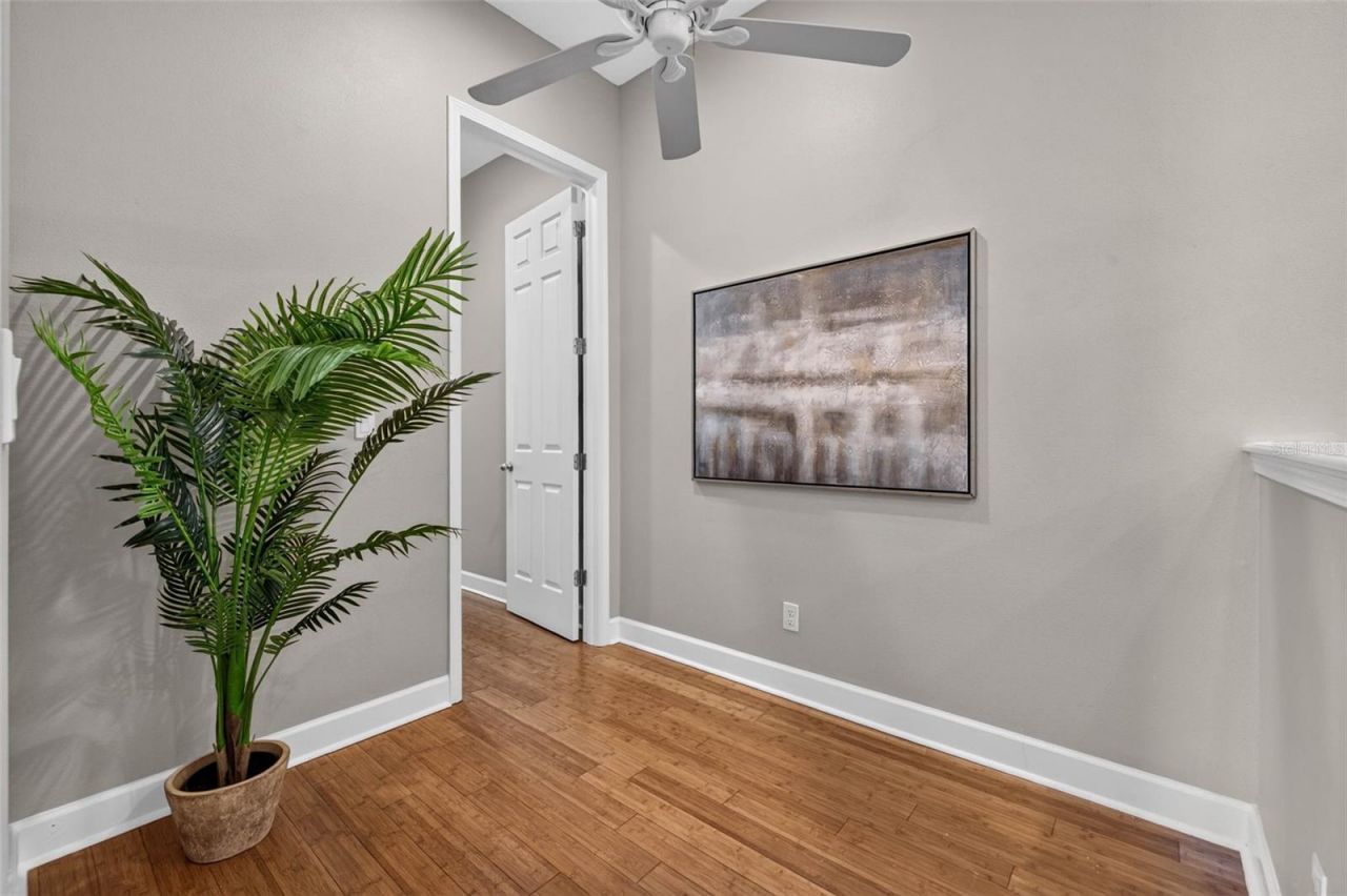 447 13th Avenue N, Saint Petersburg, FL 33701 Photo