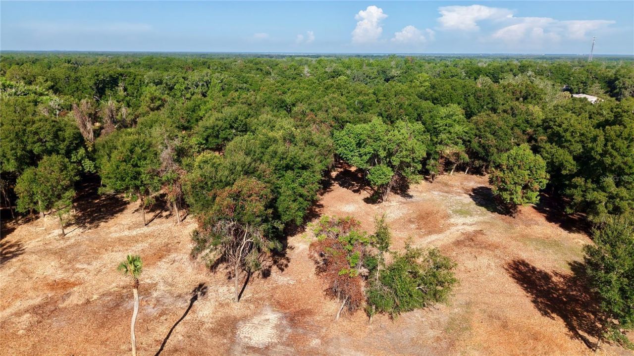 450a Old Geneva Road , Geneva, FL 32732 Photo