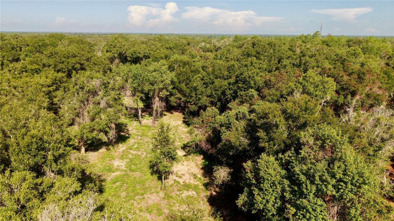 450a Old Geneva Road , Geneva, FL 32732 Photo