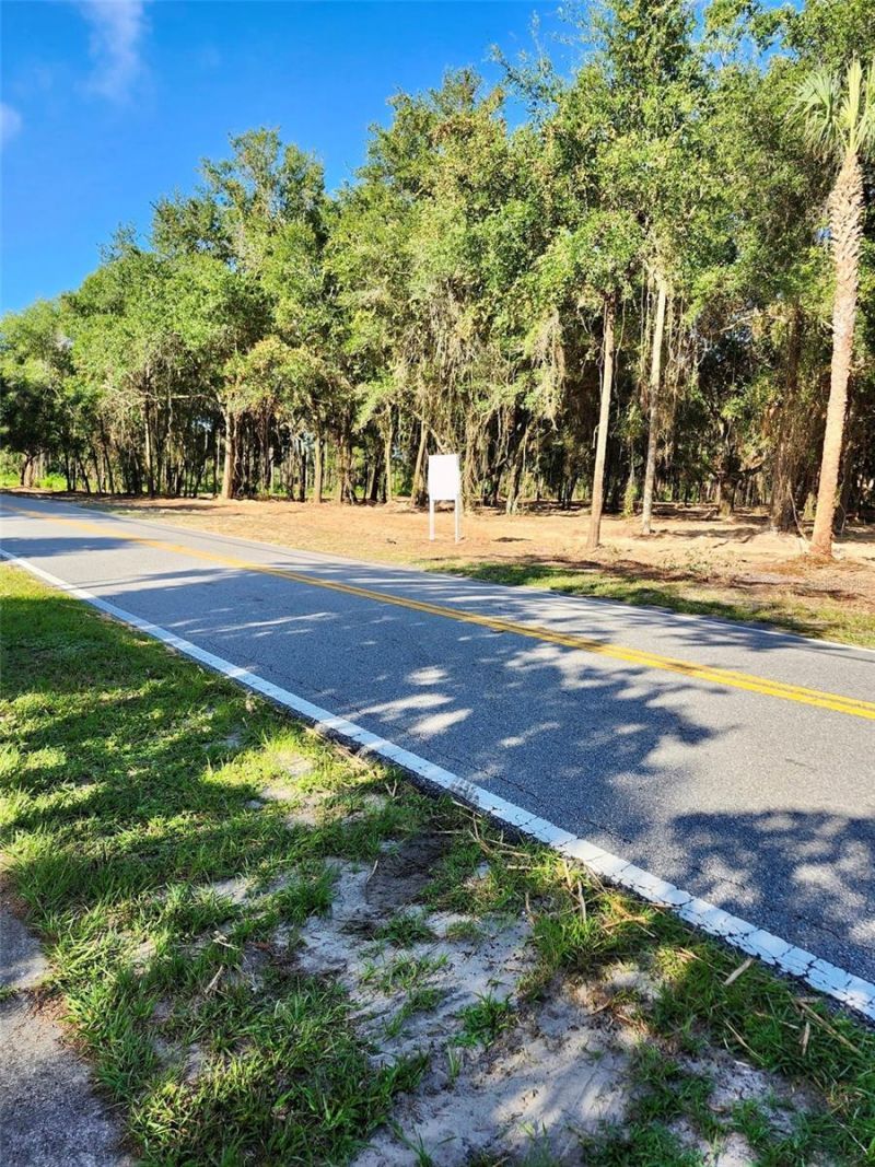 450a Old Geneva Road , Geneva, FL 32732 Photo