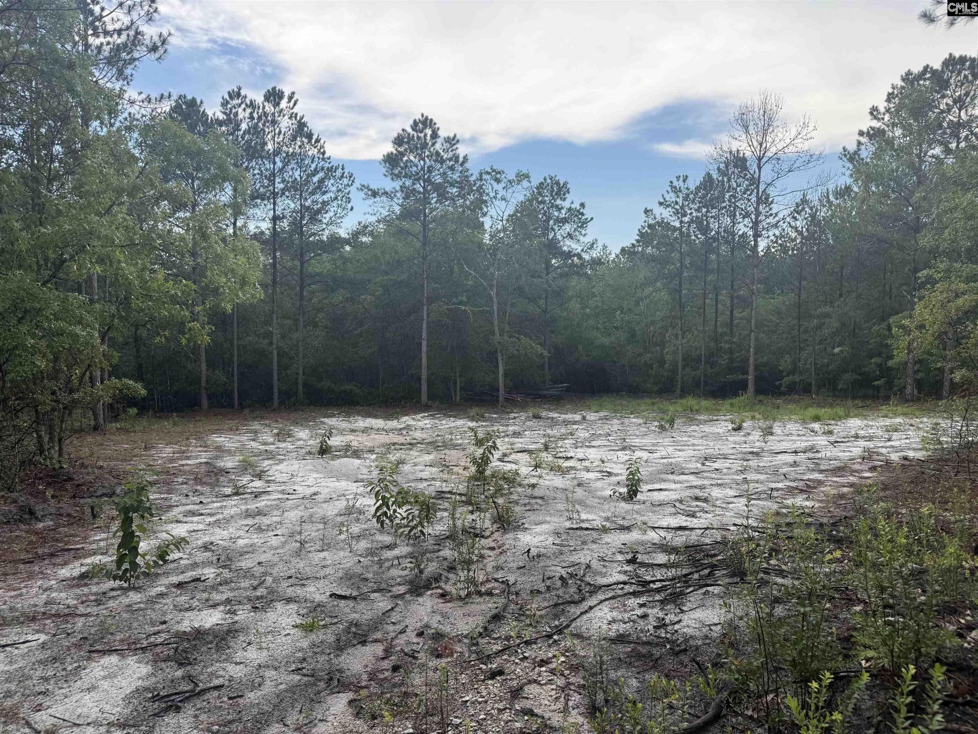 1101 Corbett Road  Photo 7