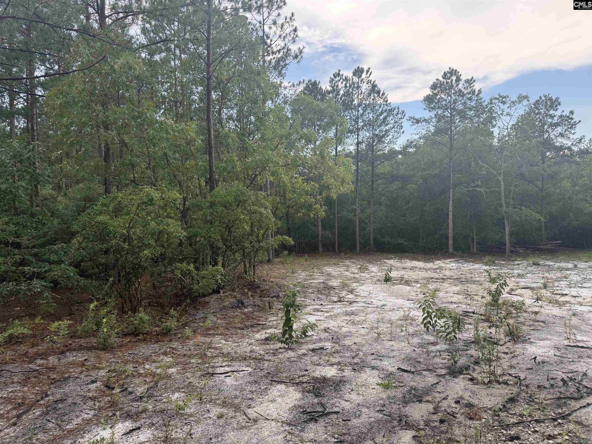 1101 Corbett Road  Photo 8