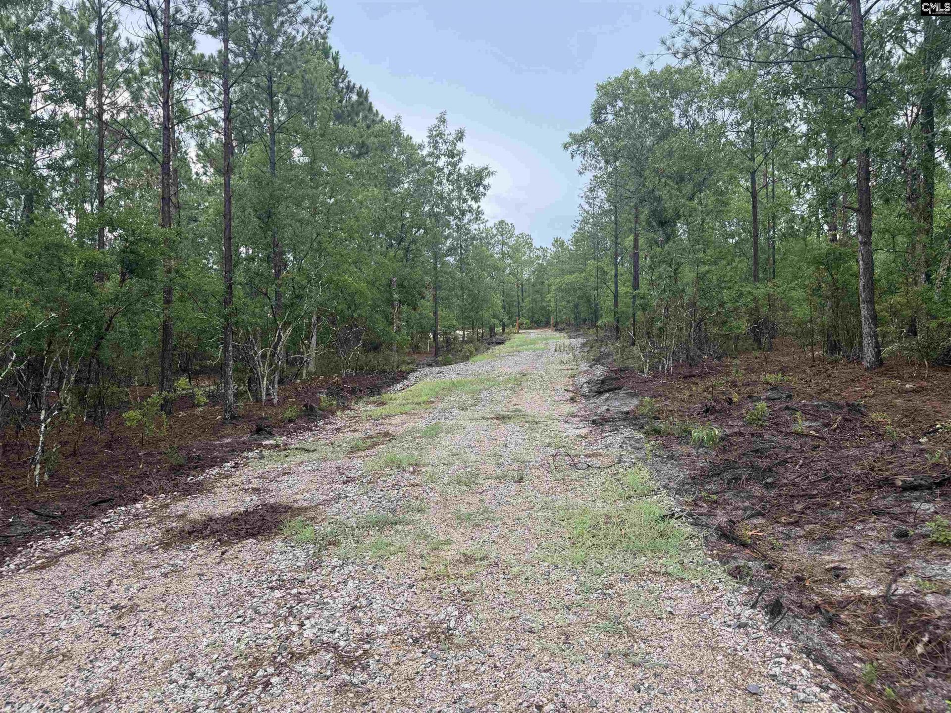 1101 Corbett Road  Photo 9