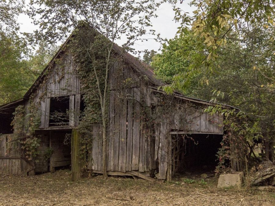 Property Image 19