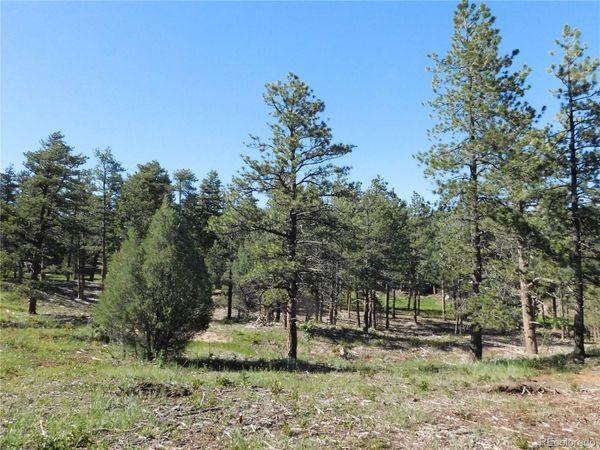7514 Seminole Drive , Larkspur, CO 80118
