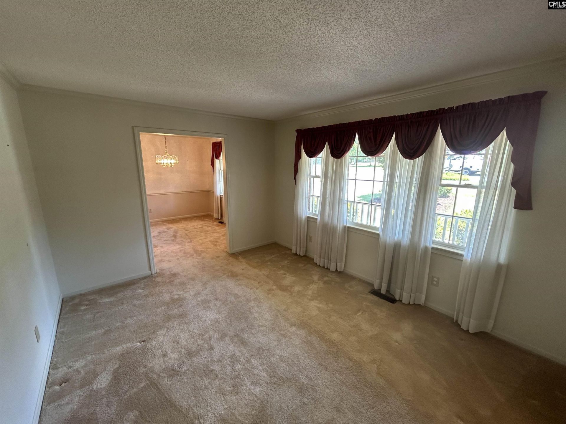 249 Tudor Road  Photo 7