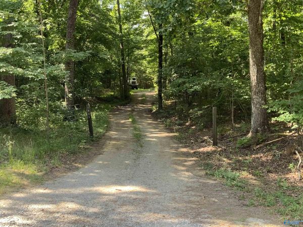 15 Acres County Road 216, Woodville, AL 35776