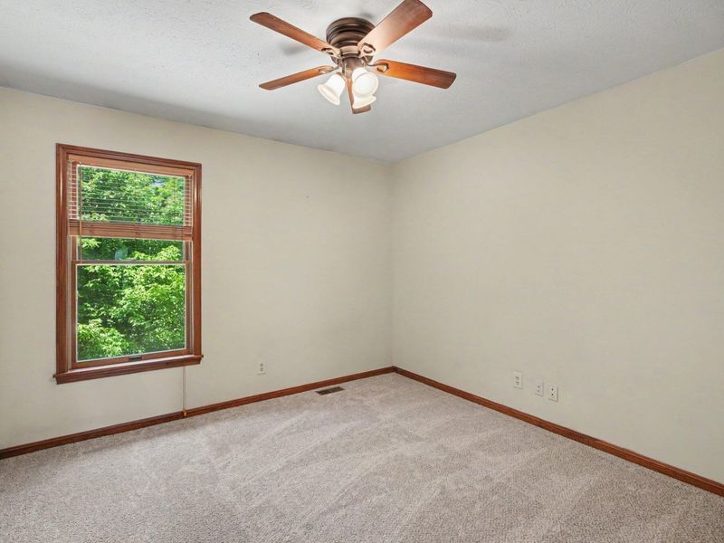 3623 Walnut Park Drive, Alexandria, KY 41001 Photo 29