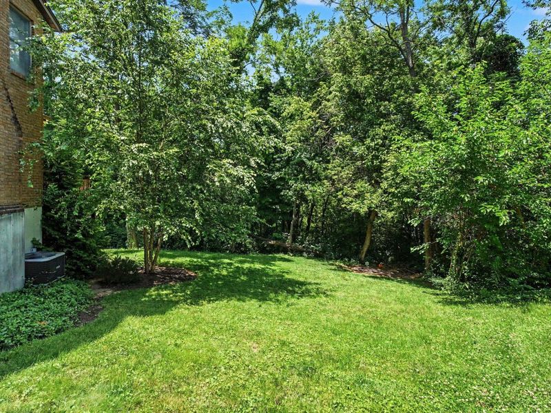 3623 Walnut Park Drive, Alexandria, KY 41001 Photo 36