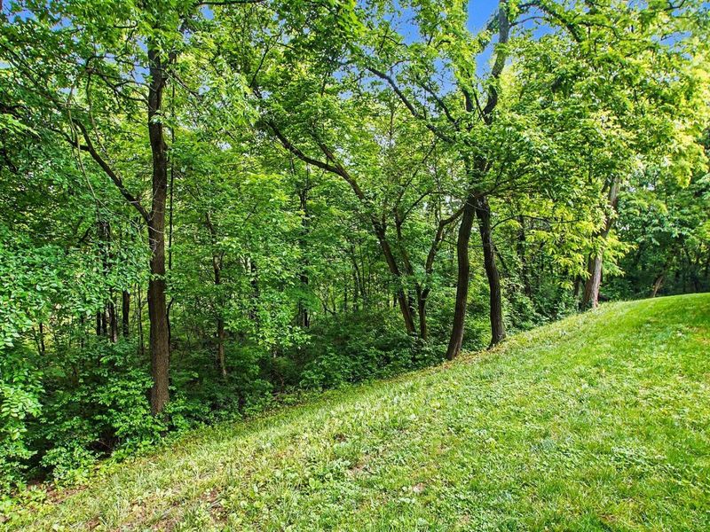 3623 Walnut Park Drive, Alexandria, KY 41001 Photo 38