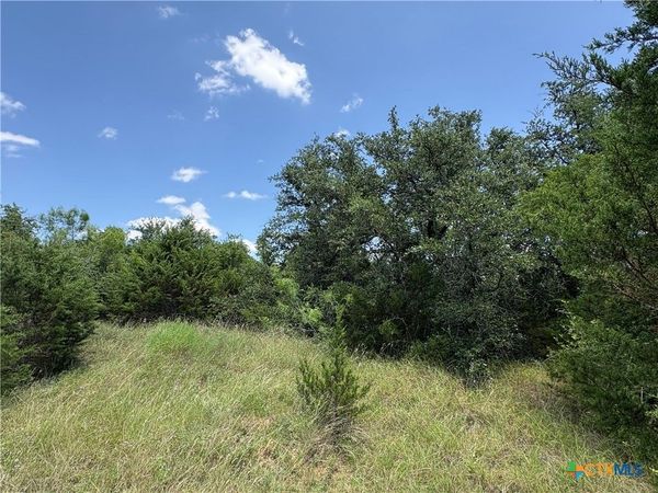 0 County Road 303 , Bertram, TX 78605