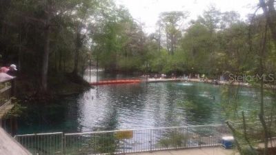 17416 NW 89th Terrace, Fanning Springs, FL 32693 Photo