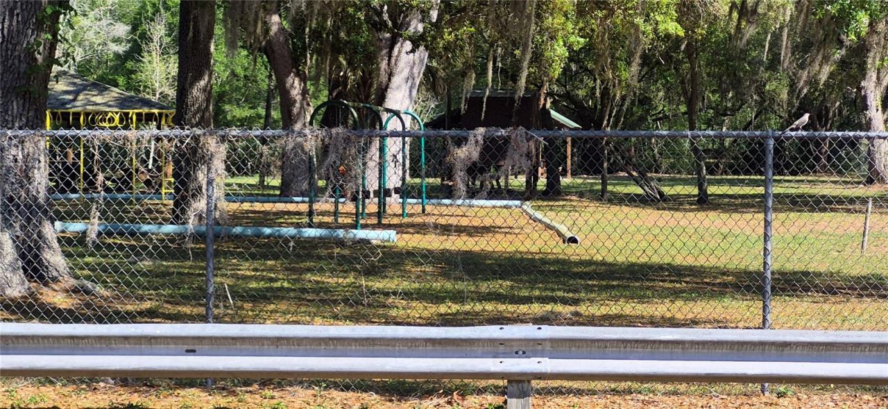 17416 NW 89th Terrace, Fanning Springs, FL 32693 Photo