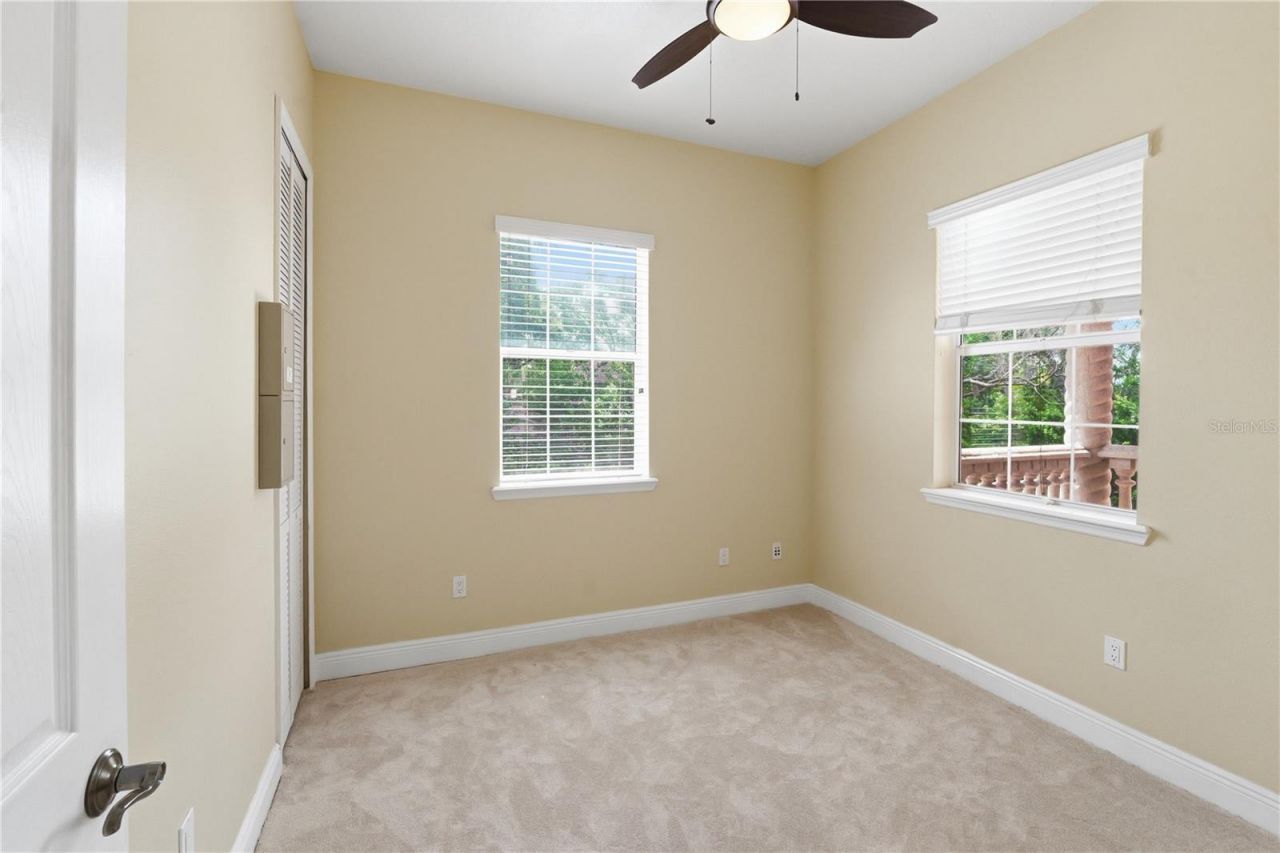 10307 Reclinata Lane, Tampa, FL 33618 Photo