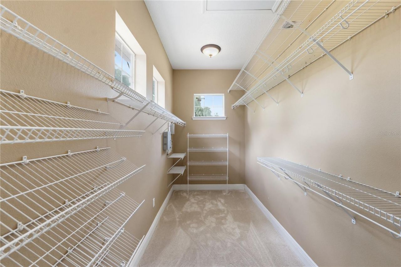 10307 Reclinata Lane, Tampa, FL 33618 Photo