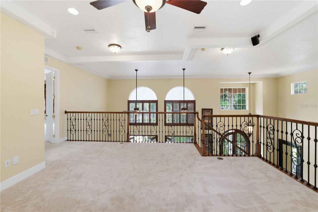 10307 Reclinata Lane, Tampa, FL 33618 Photo