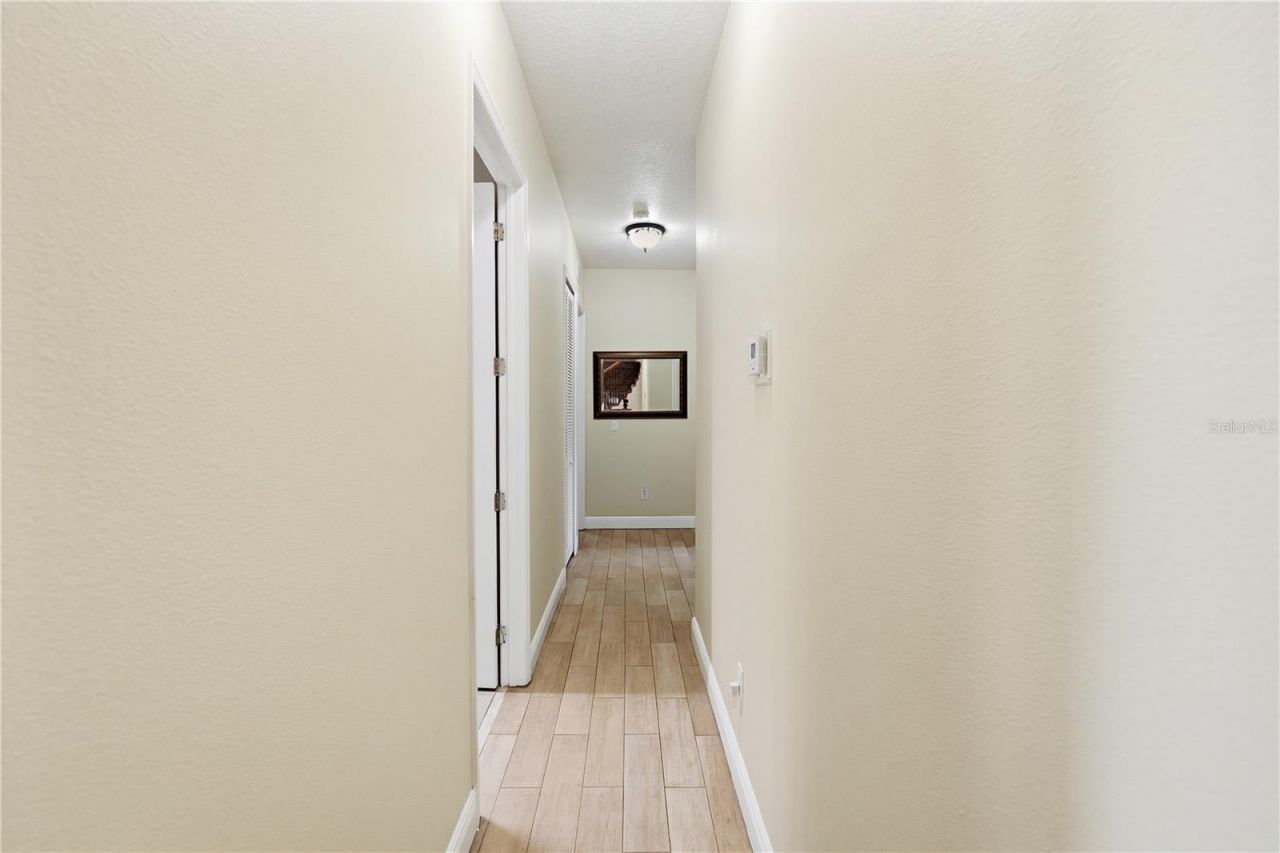 10307 Reclinata Lane, Tampa, FL 33618 Photo