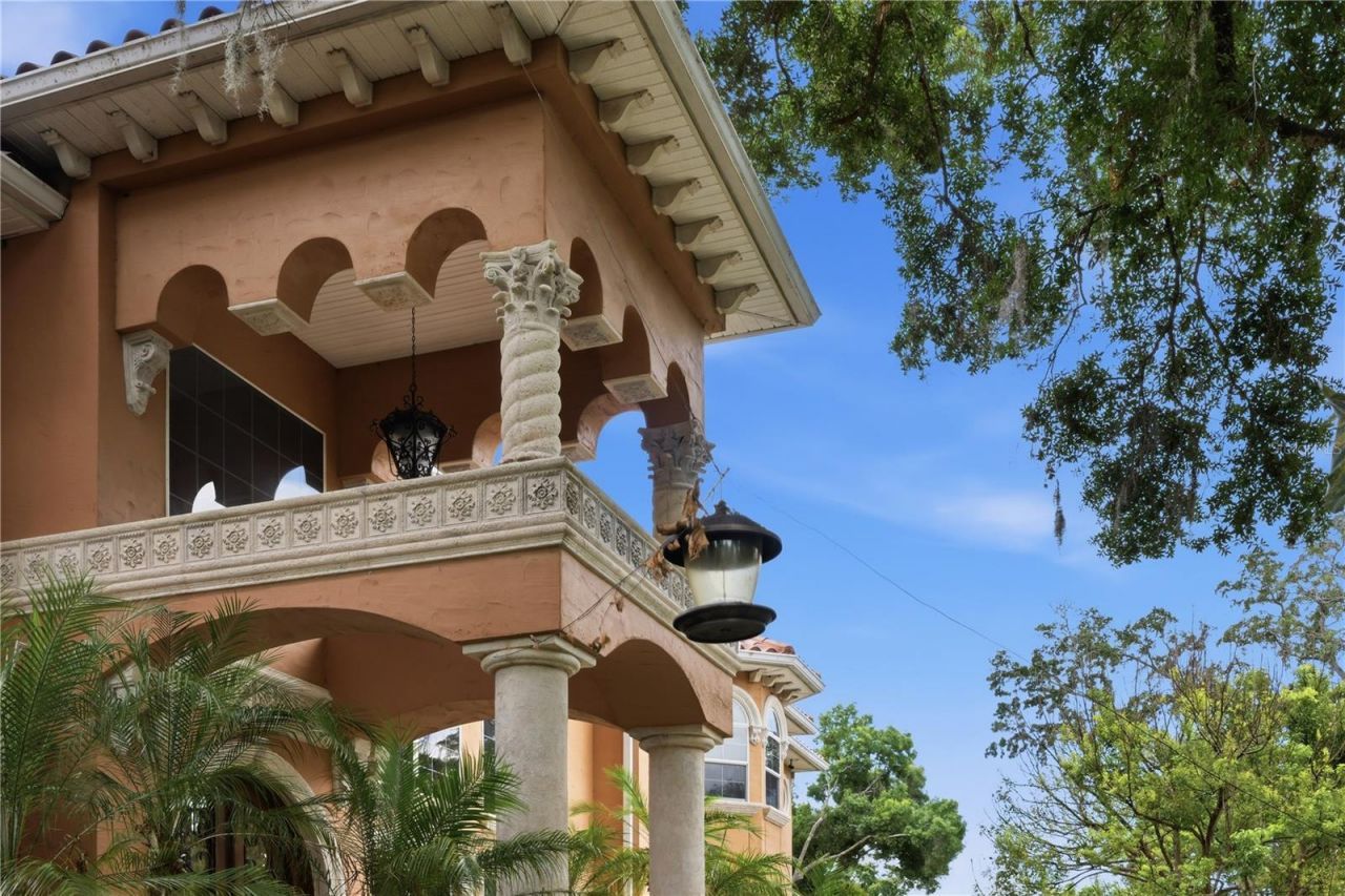 10307 Reclinata Lane, Tampa, FL 33618 Photo