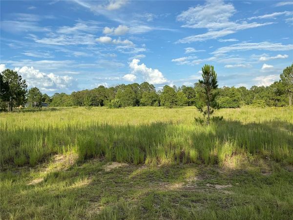 MAPLE LN WAY , OCKLAWAHA, FL 32179