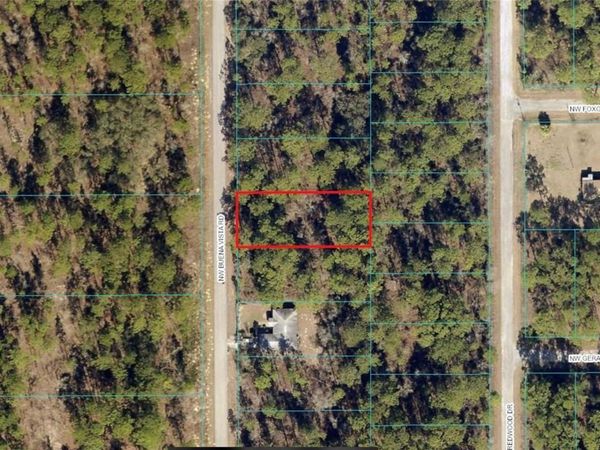 00 SW BUENA VISTA ROAD , DUNNELLON, FL 34431