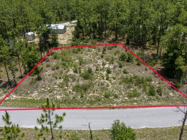NE 4TH LANE , WILLISTON, FL 32696