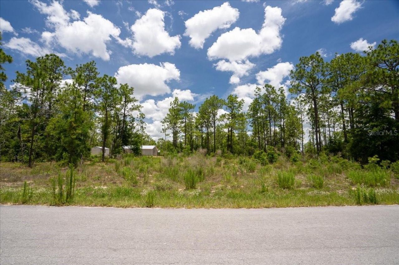 Ne 4th Lane , Williston, FL 32696 Photo